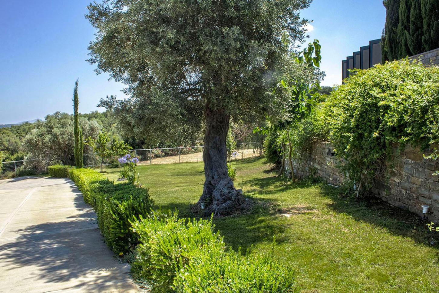 Arion Krini Villa Amnátos 외부 사진