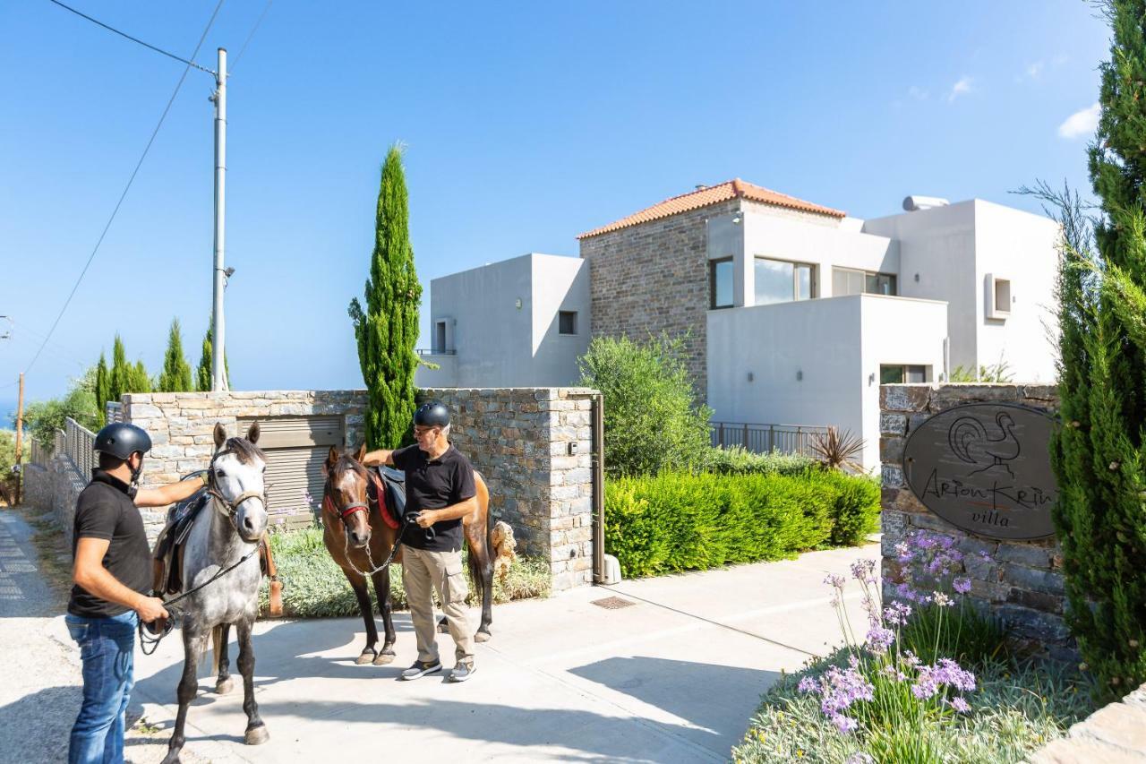 Arion Krini Villa Amnátos 외부 사진